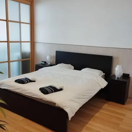 Loft Avec Et Billard Apartment Brest