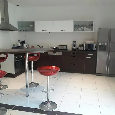 Apartment Loft Avec Et Billard Brest