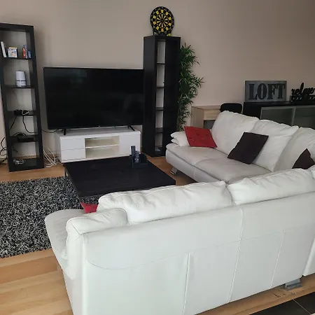 Loft Avec Et Billard