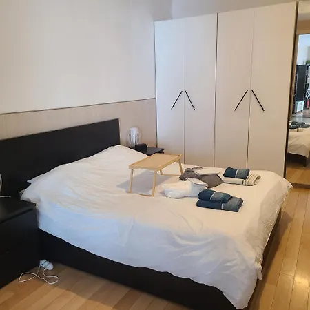 Apartment Loft Avec Et Billard Brest
