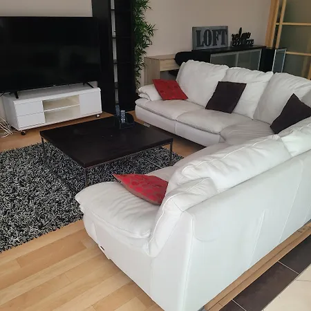 Apartment Loft Avec Et Billard *