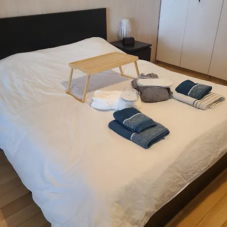 Loft Avec Et Billard Apartment Brest